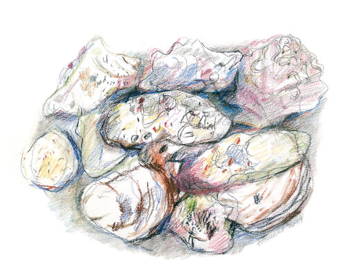 "Petite récolte" - Coquille d'huître van Frédérique Mussat, Werk op papier te koop op Singulart