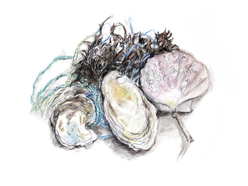 "Petite récolte" - coquille, cordage, goémon par Frédérique Mussat, Œuvre sur papier en vente sur Singulart