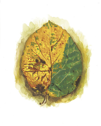 Morceaux de nature - Feuille di Frédérique Mussat, Opera su carta in vendita su Singulart
