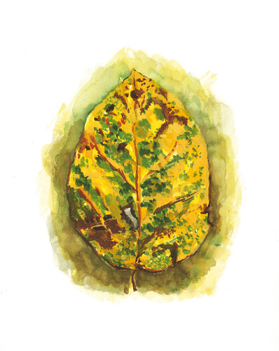 Morceaux de nature - Feuille par Frédérique Mussat, Œuvre sur papier en vente sur Singulart