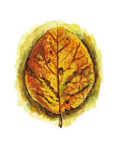 Morceaux de nature - Feuille di Frédérique Mussat, Opera su carta in vendita su Singulart