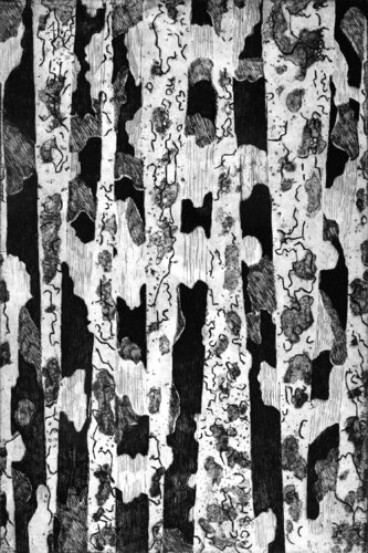 Forêt van Frédérique Mussat, Werk op papier te koop op Singulart