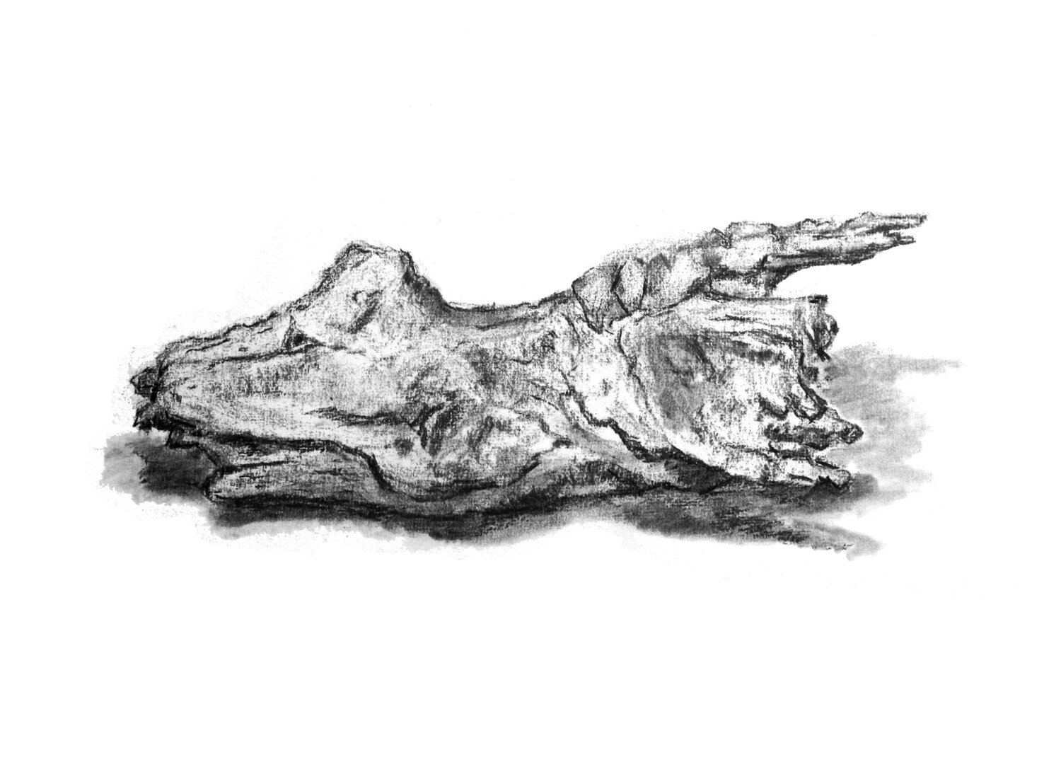 "Petit animal" Frédérique Mussat