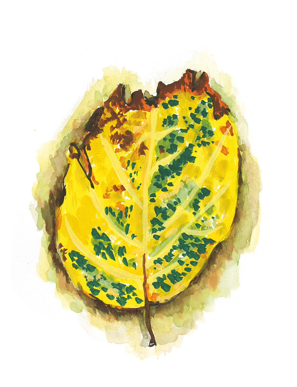 Morceaux de nature - Feuille Frédérique Mussat Opera su carta in vendita
