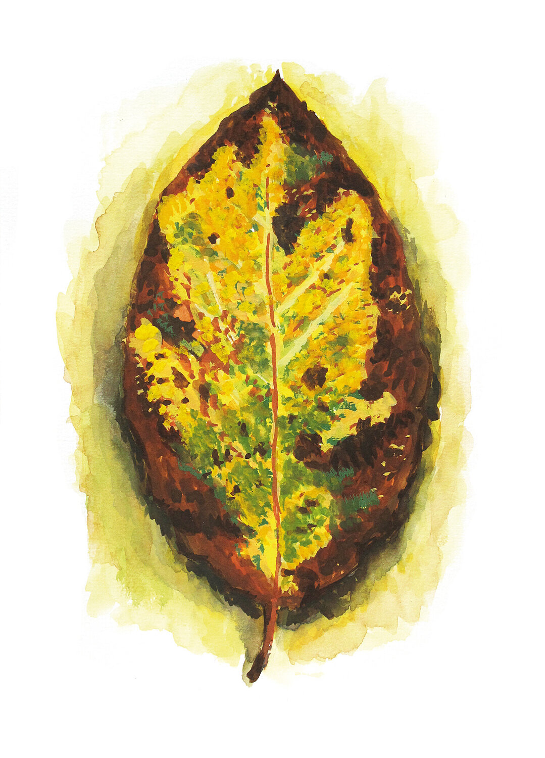 Morceaux de nature - Feuille Frédérique Mussat