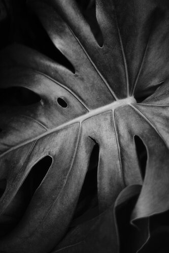 “Bones of Void” von Wei Heng Ren, Fotografie kaufen auf Singulart
