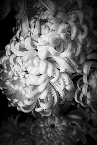 “Cipher” de Wei Heng Ren, Fotografía a la venta en Singulart