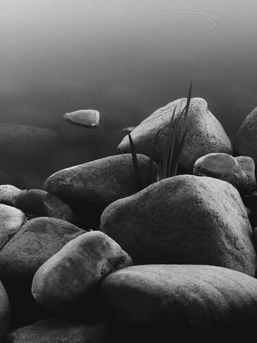 “ Stone, Listening” by Wei Heng Ren, 사진 for Sale on Singulart