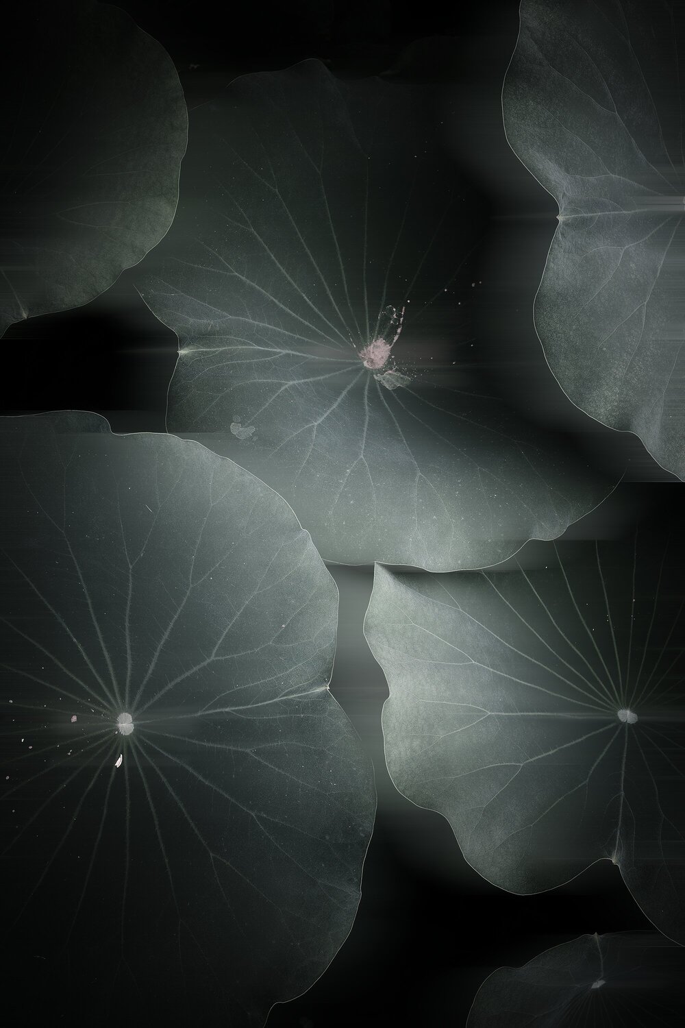 “The Pendulum in the Mist ” Wei Heng Ren