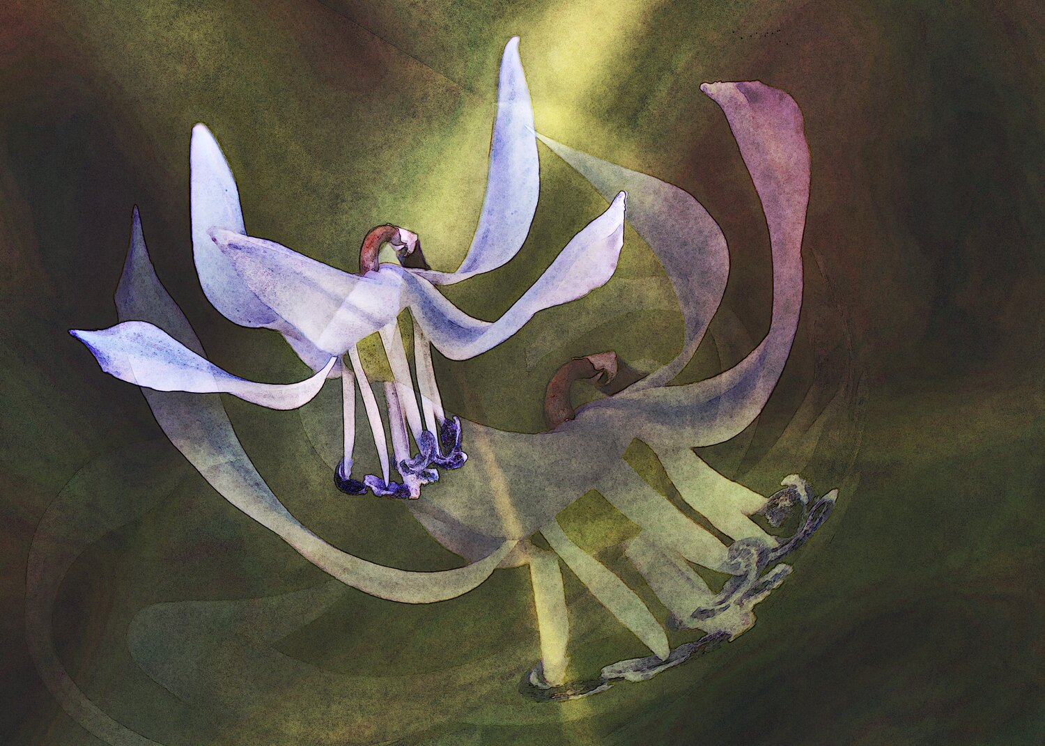 Blausternchen Uwe Kobold