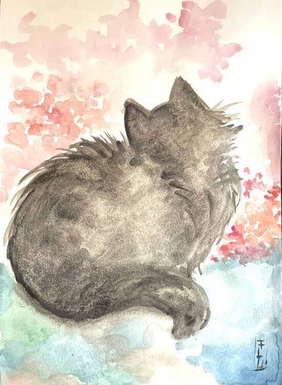 Curve Francesca Romana Luzi