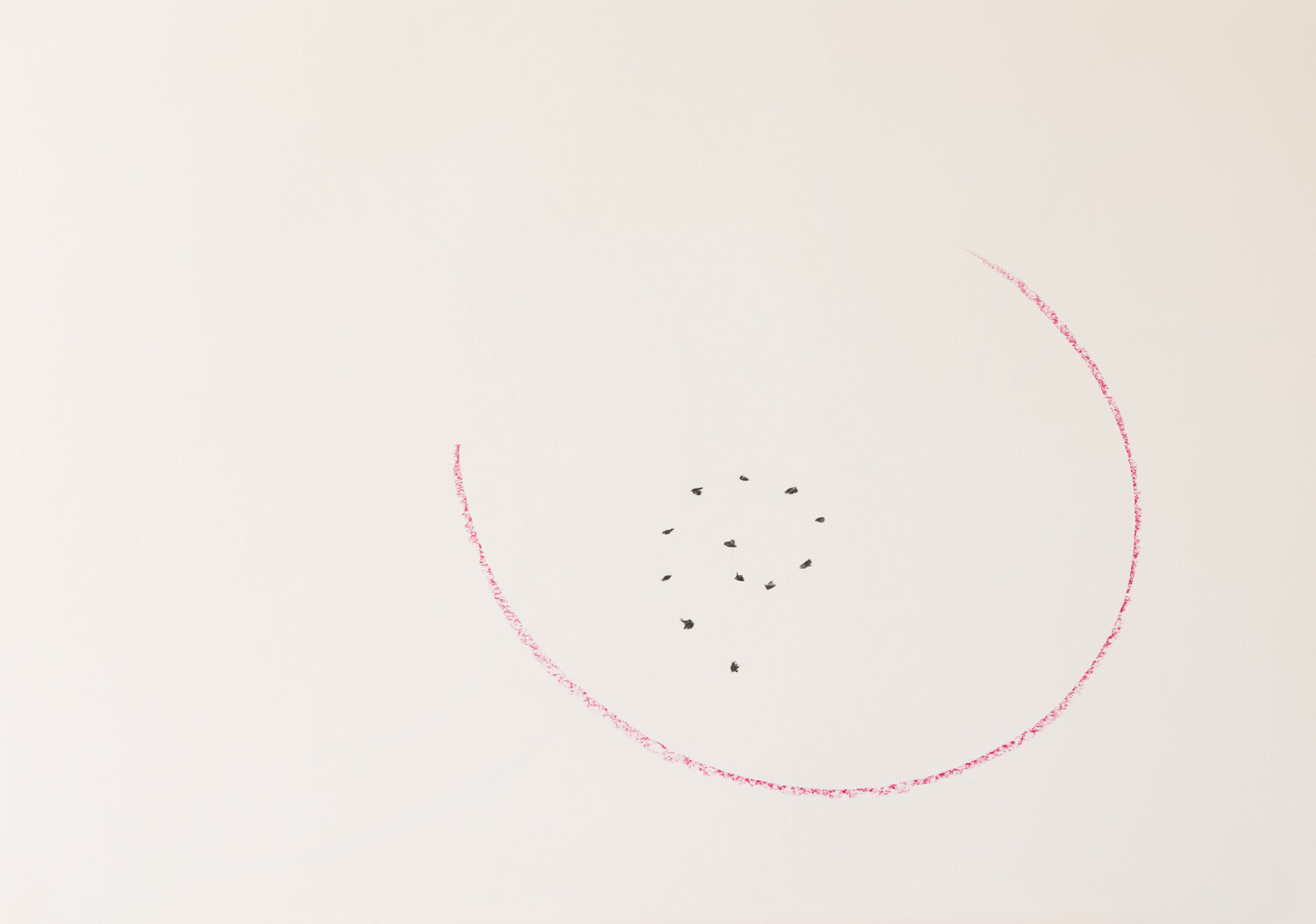 Der Anfang - the begining Prof. Dr. Silke Kettig