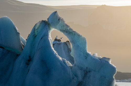 Solastalgie von Max Levine, Fotografie kaufen auf Singulart