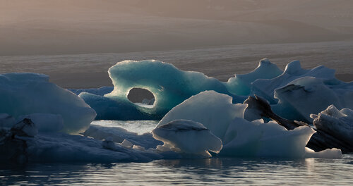 Narvals de glace von Max Levine, Fotografie kaufen auf Singulart
