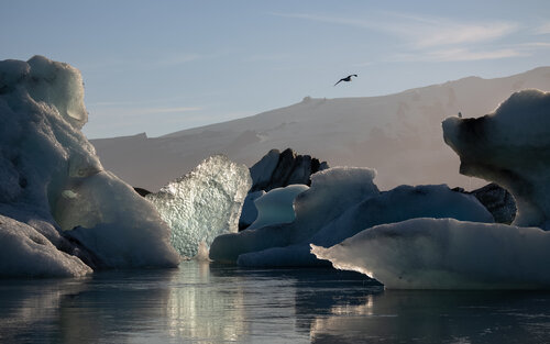 Âme de glacier di Max Levine, Fotografia in vendita su Singulart