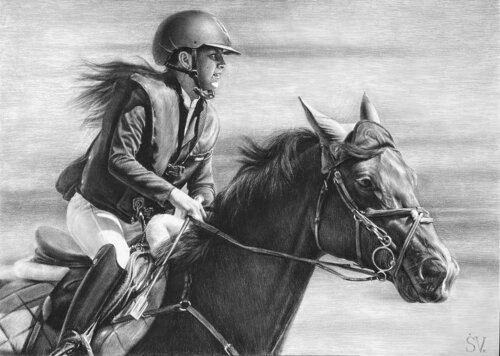 Speed ​​and desire to win par Sumarokov Vladimir, Dessin en vente sur Singulart