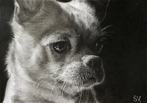 My Best Friend Peach van Sumarokov Vladimir, Tekening te koop op Singulart