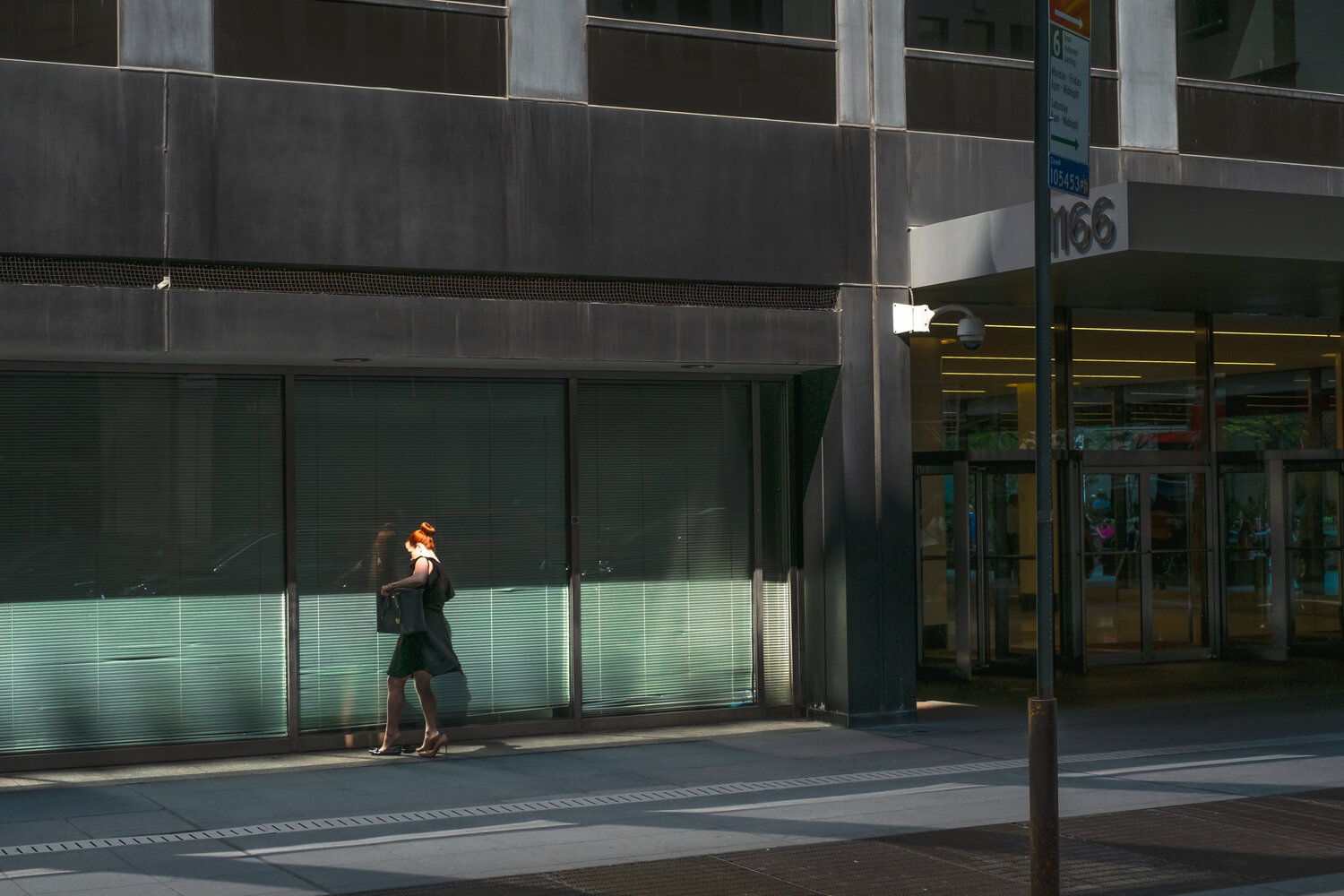 Woman and her Shoe Chervine