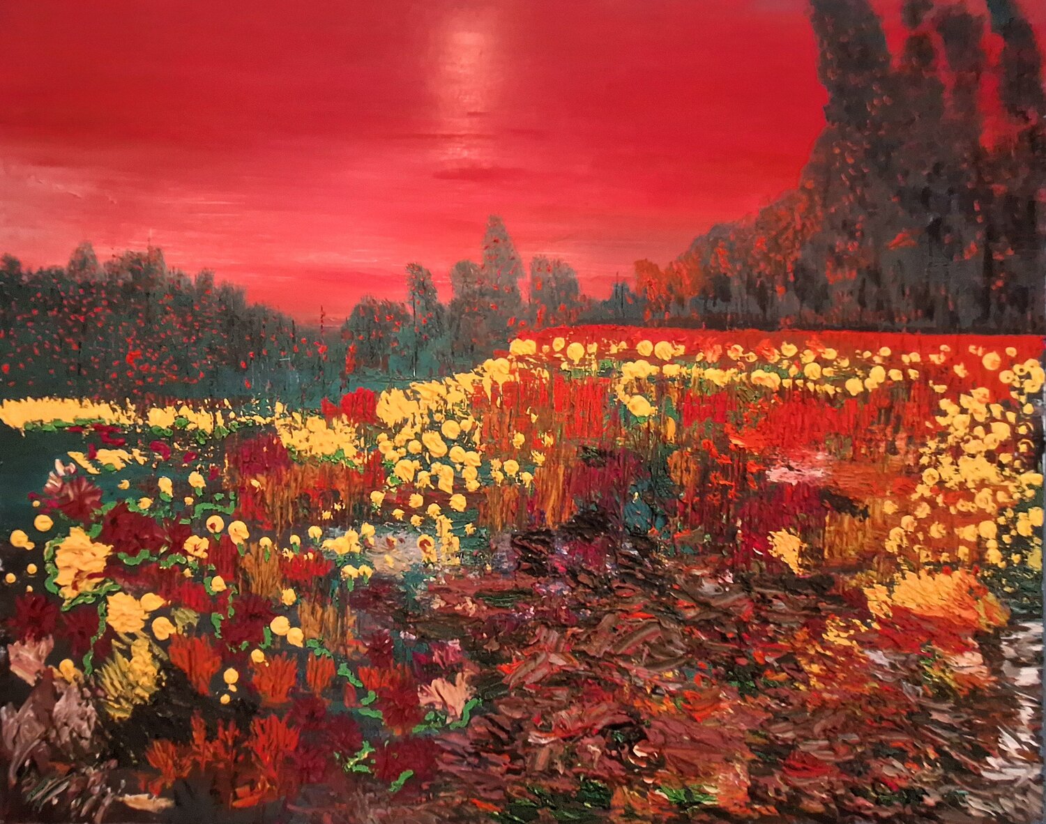 Blumenfeld in der Abendsonne Marc Hercole