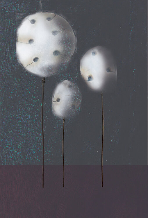 "Lunaria / Custode di semi di vita" Barbara Ruzziconi