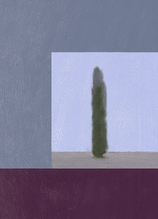 "La via " Barbara Ruzziconi