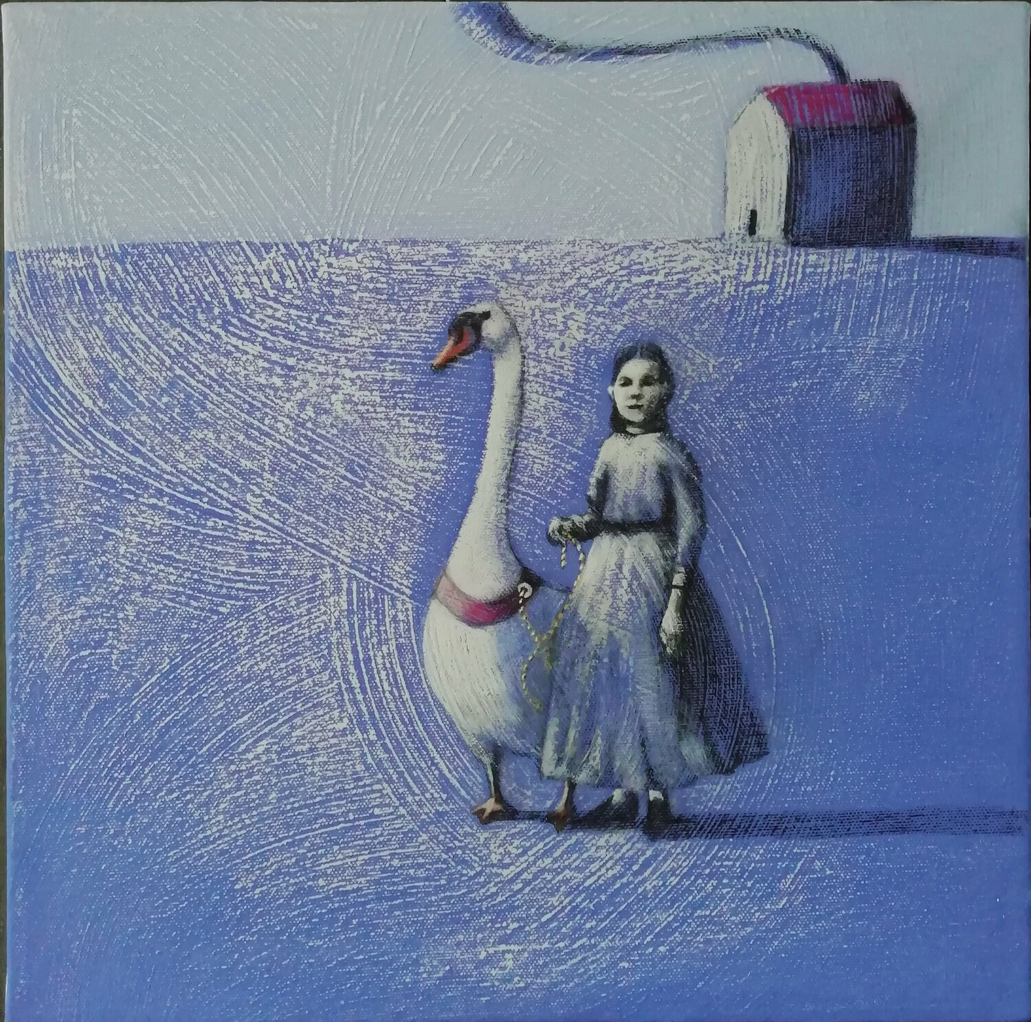 Il cigno e la fanciulla Barbara Ruzziconi