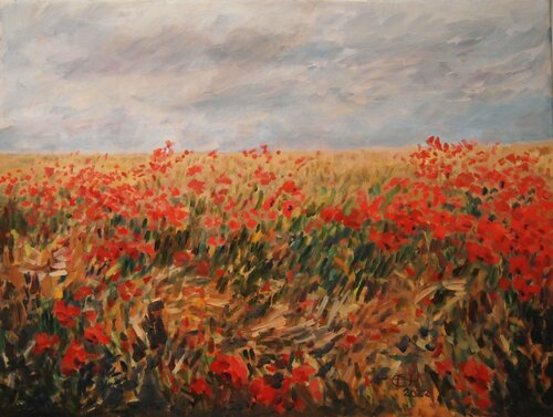 Summer Field Ellen Fasthuber-Huemer