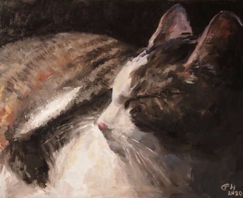 Schlafende Katze van Ellen Fasthuber-Huemer, Schilderij te koop op Singulart