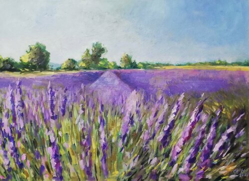 Luberon, Lavendelfeld Ellen Fasthuber-Huemer