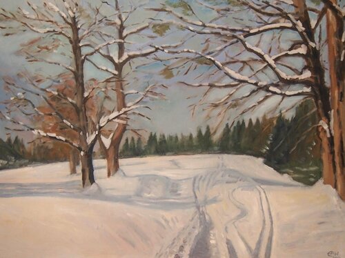 Skispuren di Ellen Fasthuber-Huemer, Pittura in vendita su Singulart