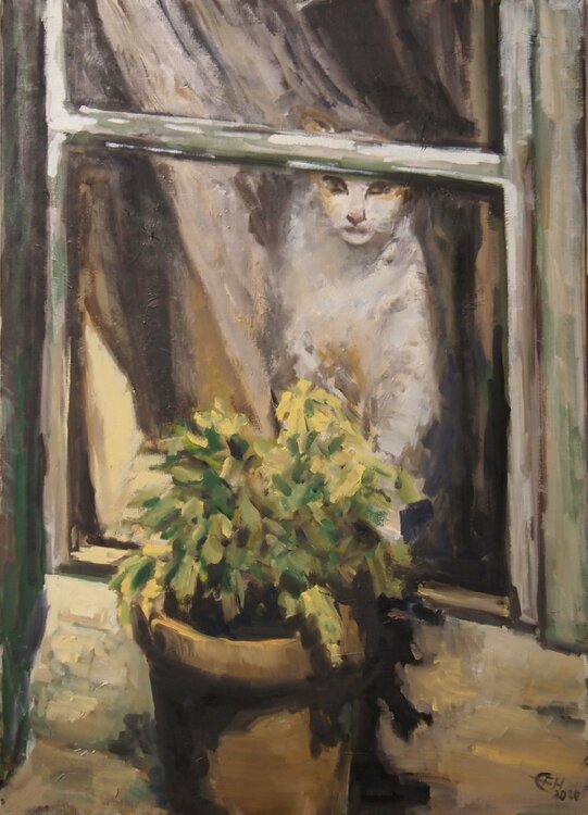 Cat At The Window Ellen Fasthuber-Huemer