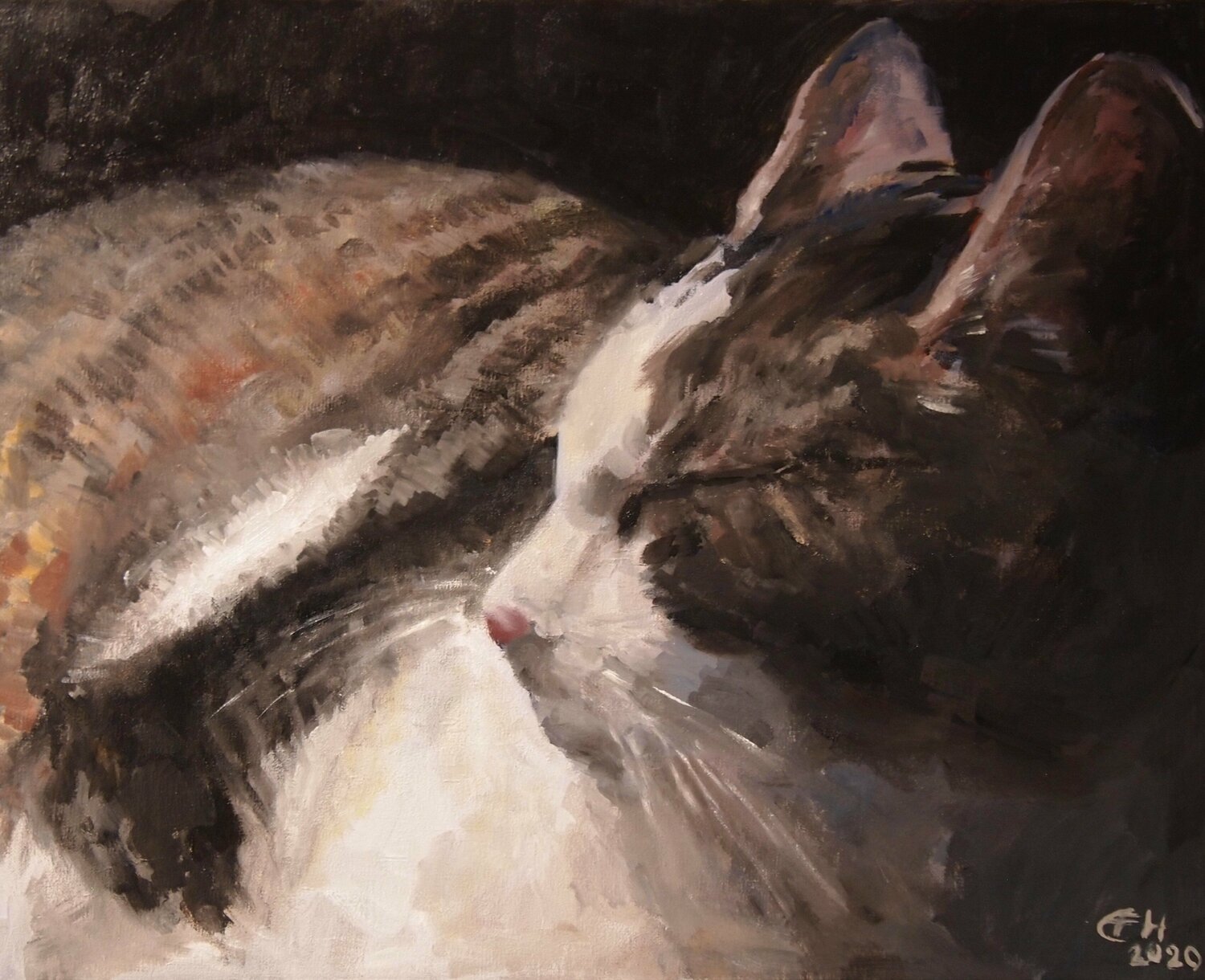 Schlafende Katze Ellen Fasthuber-Huemer