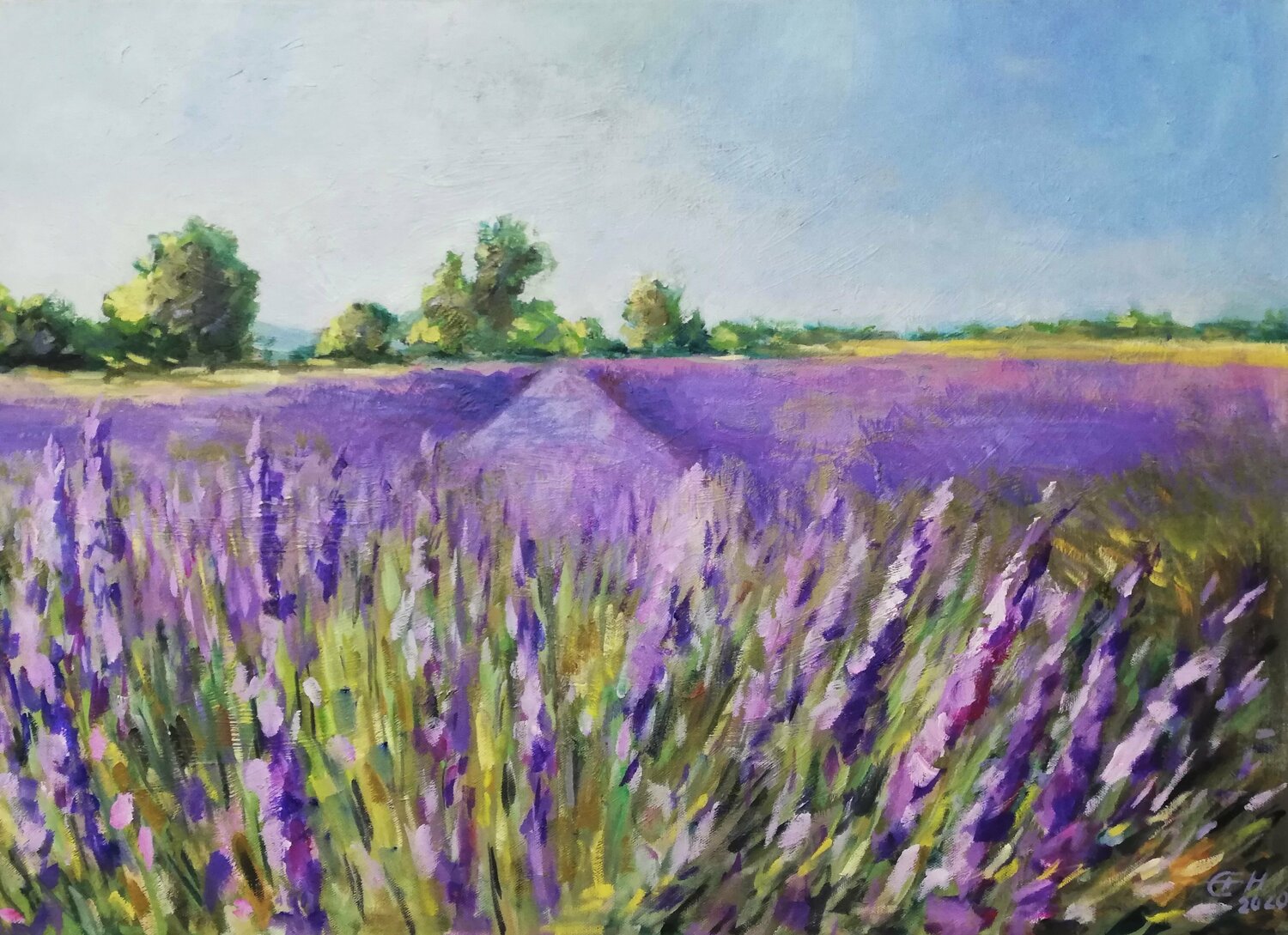 Luberon, Lavendelfeld Ellen Fasthuber-Huemer