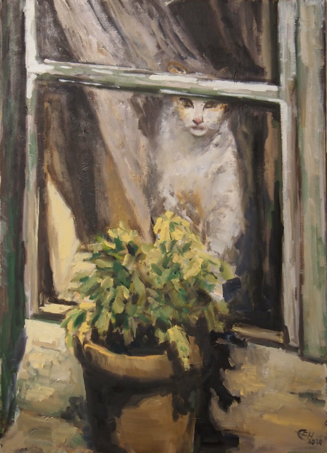 Cat At The Window Ellen Fasthuber-Huemer