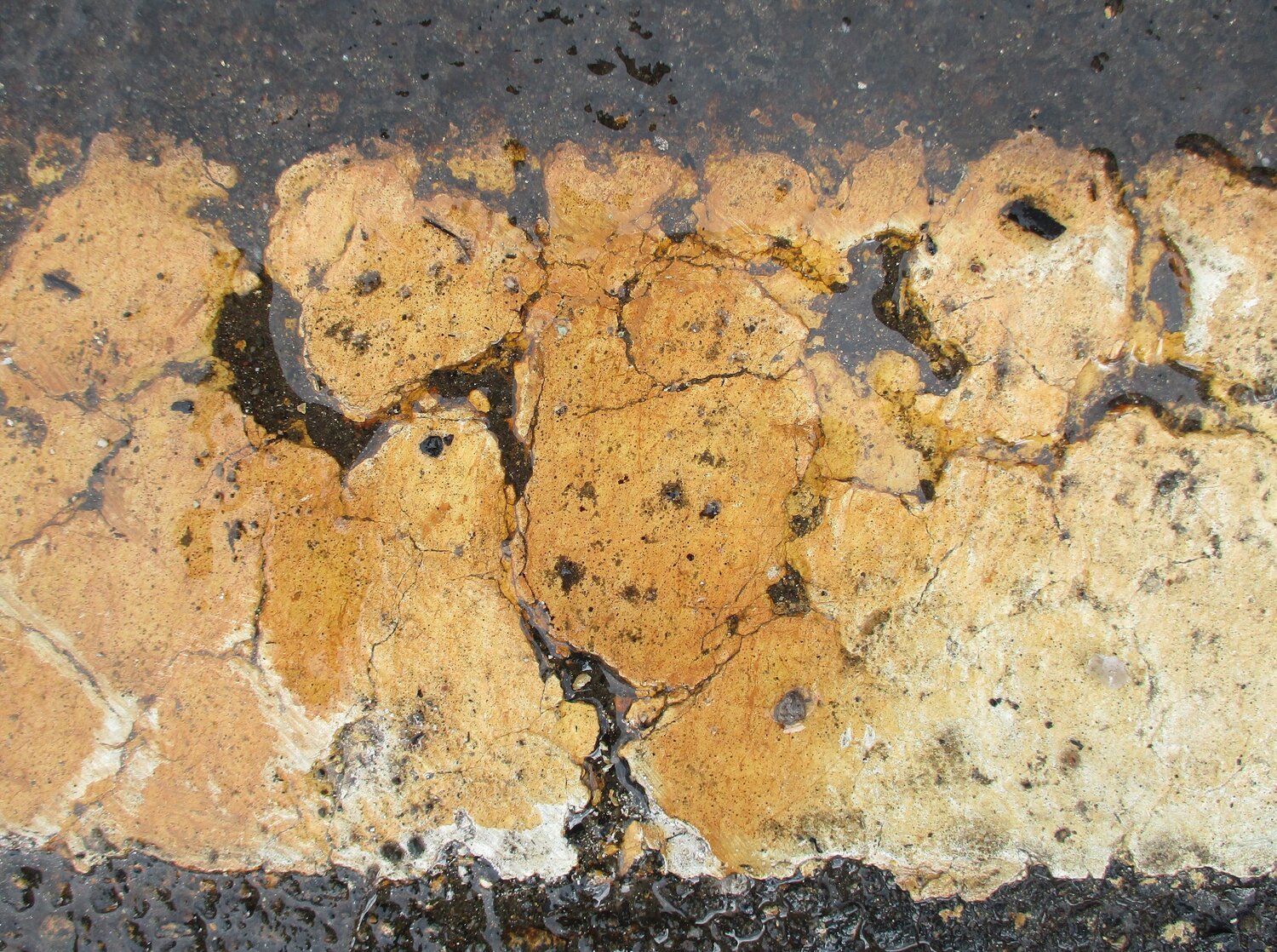 Paint on Brick Ben Hotchkiss