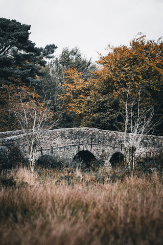 Dartmoor Bridge von Markus Hertrich, Fotografie kaufen auf Singulart