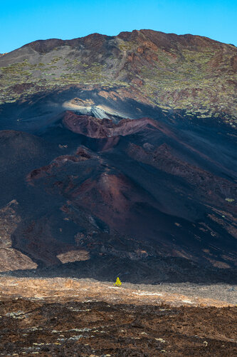 Lone Pine di Markus Hertrich, Fotografia in vendita su Singulart