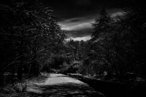 Full Moon Walk van Markus Hertrich, Fotografie te koop op Singulart