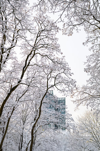 Dancing Towers di Markus Hertrich, Fotografia in vendita su Singulart