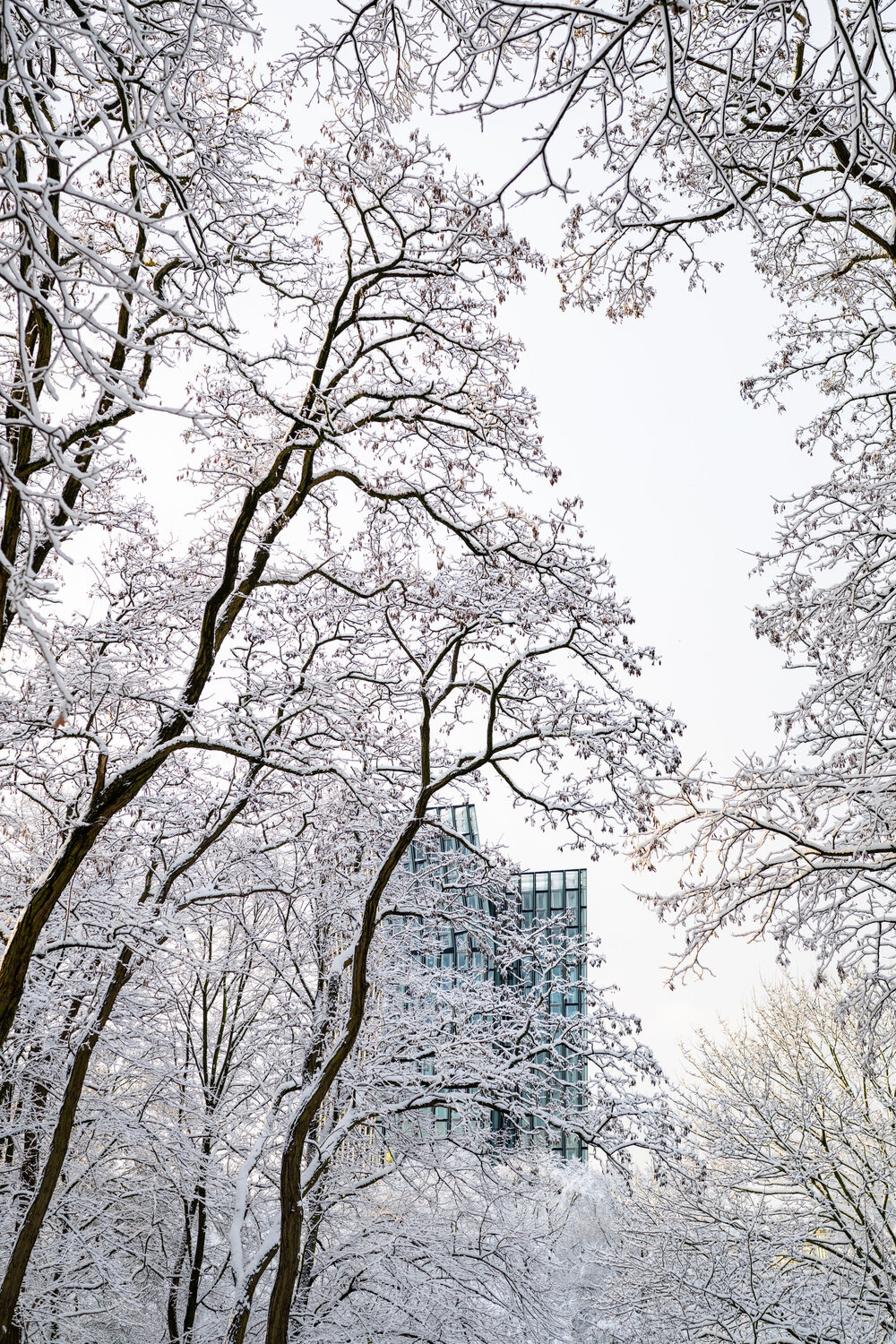 Dancing Towers Markus Hertrich