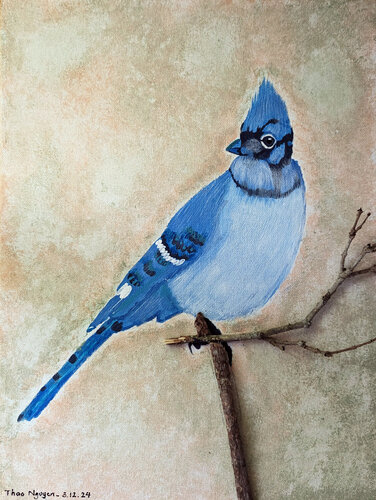 A Blue jay van Thao Nguyen, Schilderij te koop op Singulart