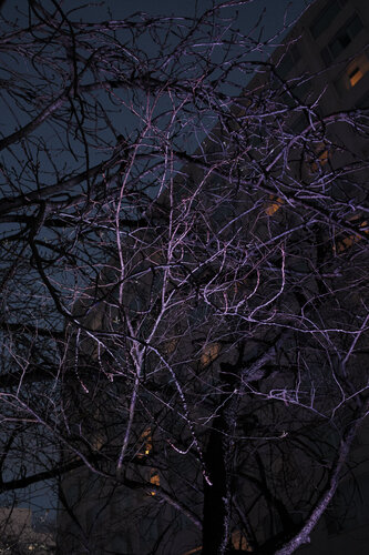 THE LIGHT AT NIGHT von Caro Lenhart, Fotografie kaufen auf Singulart
