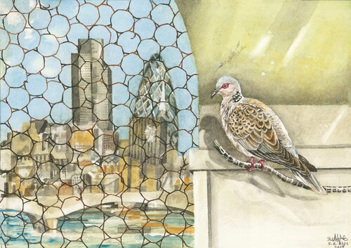 LONDON TURTLE DOVE de Stephen Alpe, Pintura a la venta en Singulart