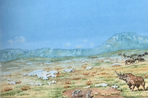PLEISTOCENE SUMMER Stephen Alpe
