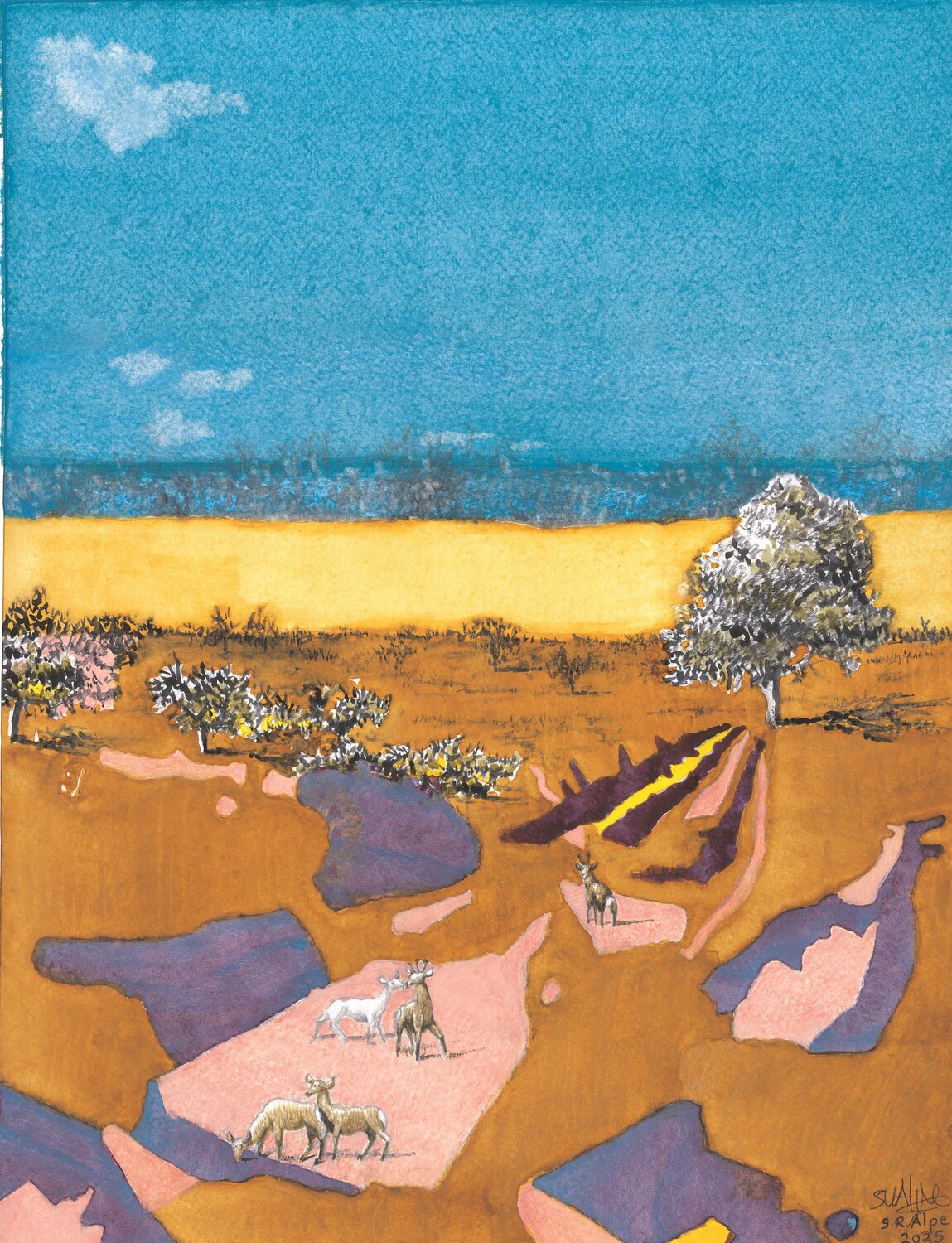 ROEBUCK SUMMER Stephen Alpe