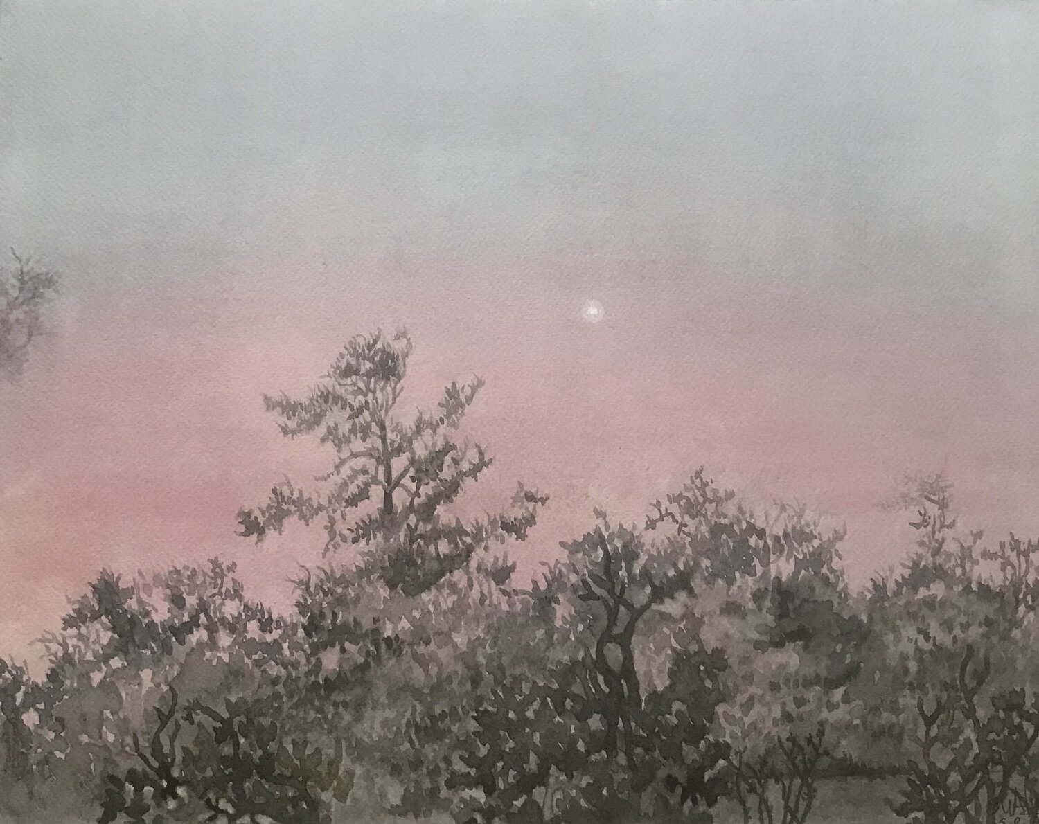 MORNING STAR Stephen Alpe