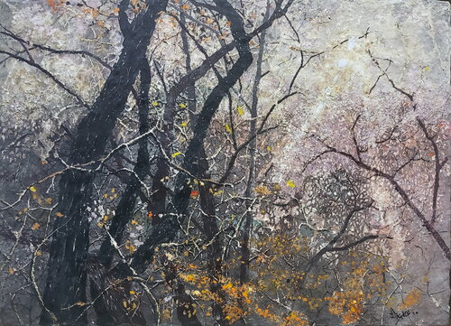 Warm sunlight in the early winter forest lee yong wook