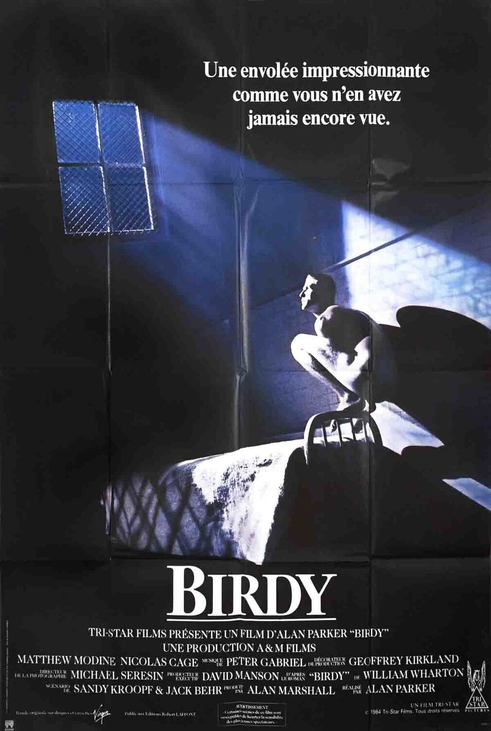 Birdy (FOLDED) Civetta Ro