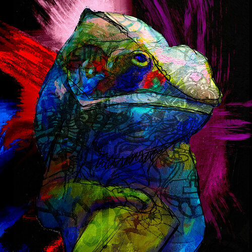 Camelion Holger Mühlbauer-Gardemin