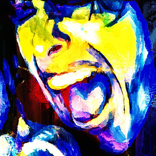 STEVE TYLER SCREAM by Holger Mühlbauer-Gardemin, Other Media for Sale on Singulart
